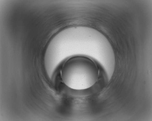 X0000062910164200601131435