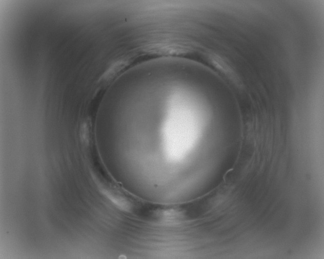 X0000062910165200601131435