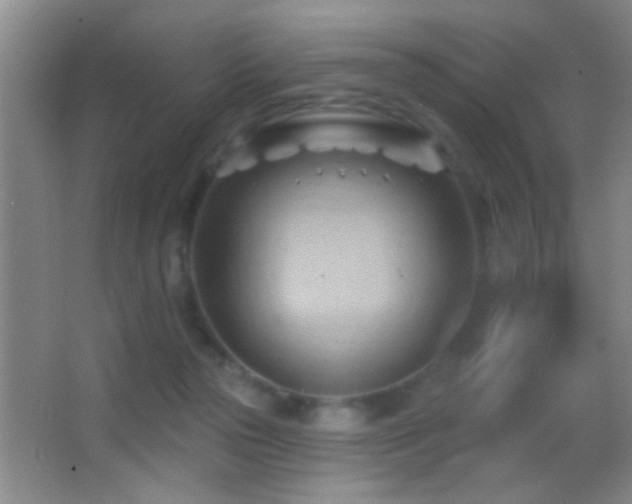 X0000062910169200601131435