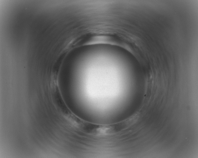 X0000062910172200601131435