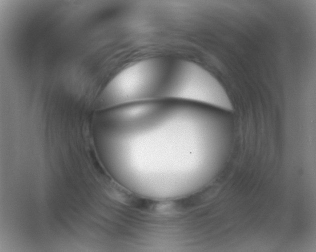 X0000062910173200601131435