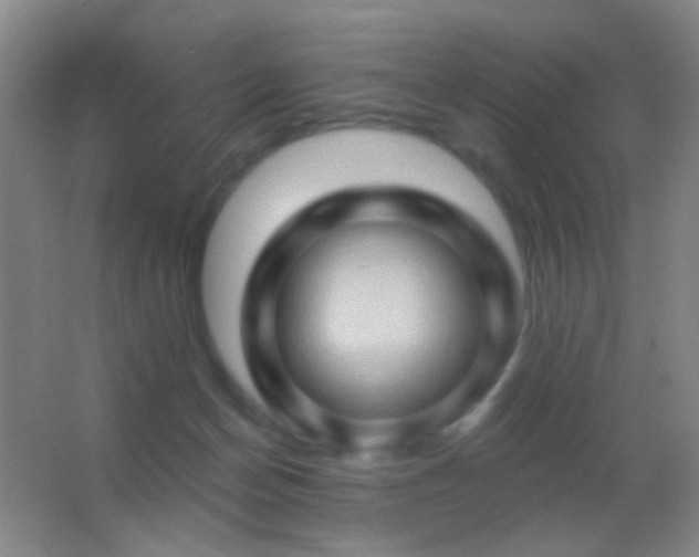 X0000062910174200601131435