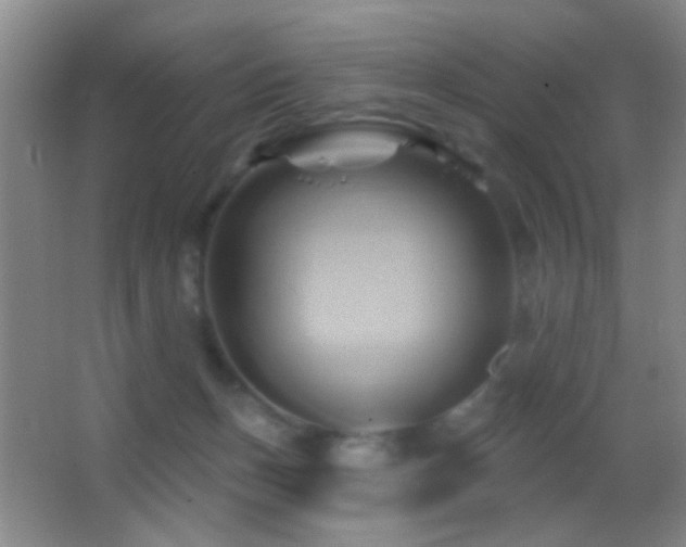 X0000062910175200601131435