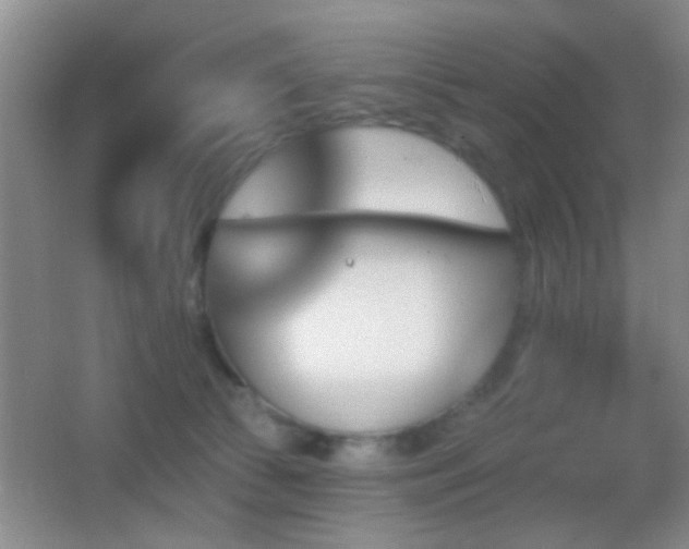 X0000062910177200601131435