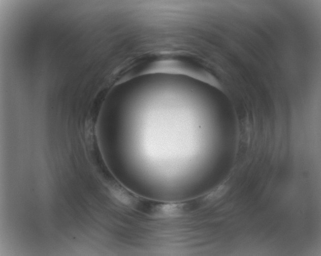 X0000062910184200601131436