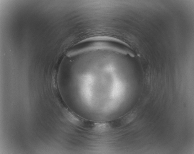 X0000062910185200601131436