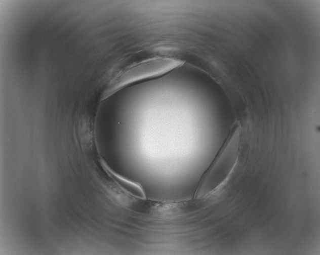 X0000062910186200601131436