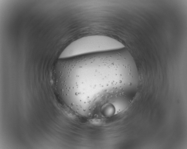 X0000062910187200601131436