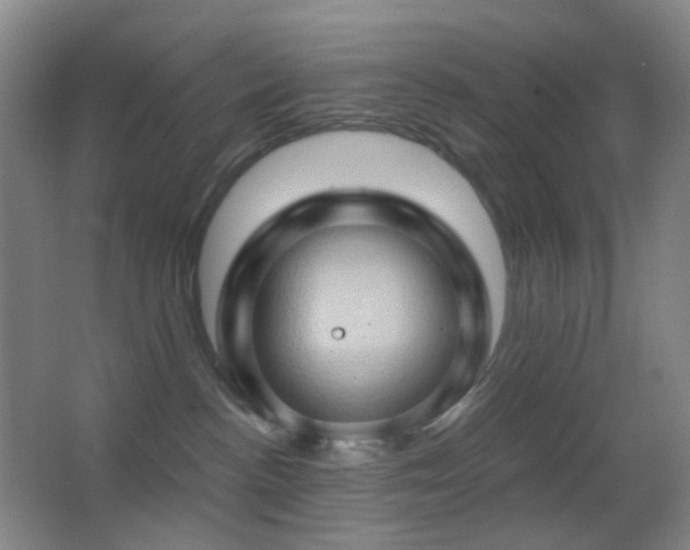 X0000062910188200601131436