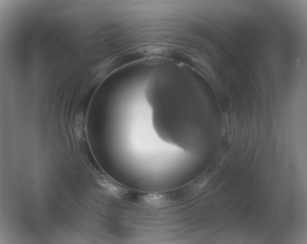 X0000062910189200601131436