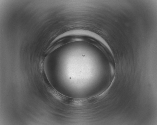 X0000062910190200601131436