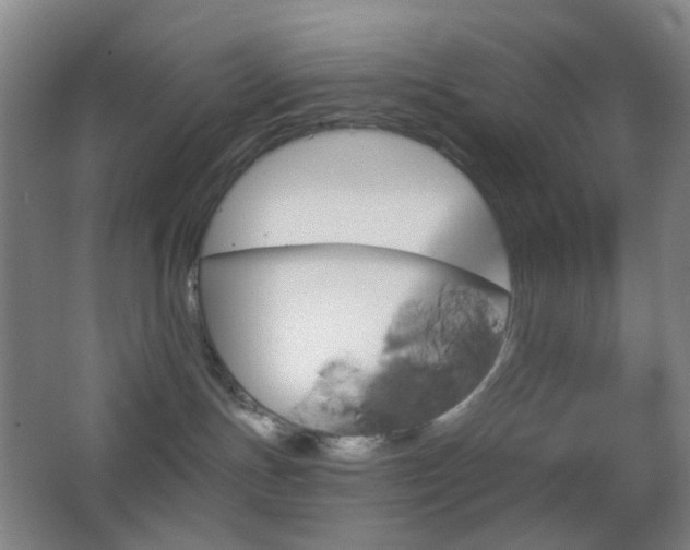 X0000062910191200601131436