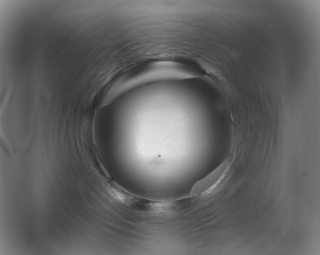 X0000062910192200601131436