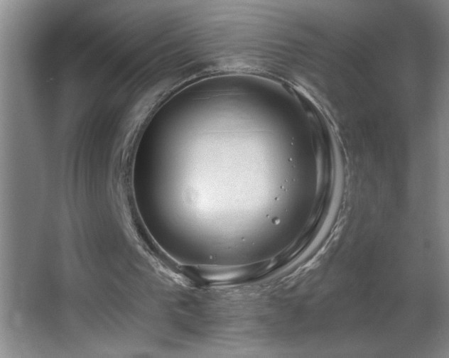 X0000062910193200601131435