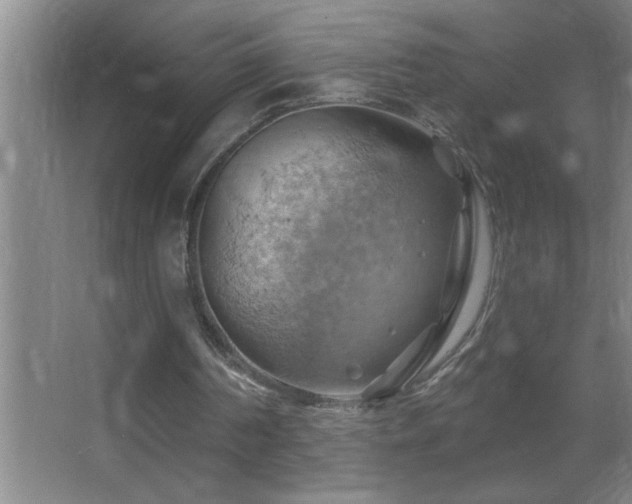 X0000062910194200601131435