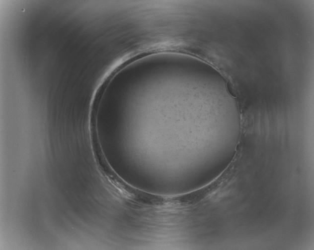 X0000062910196200601131435