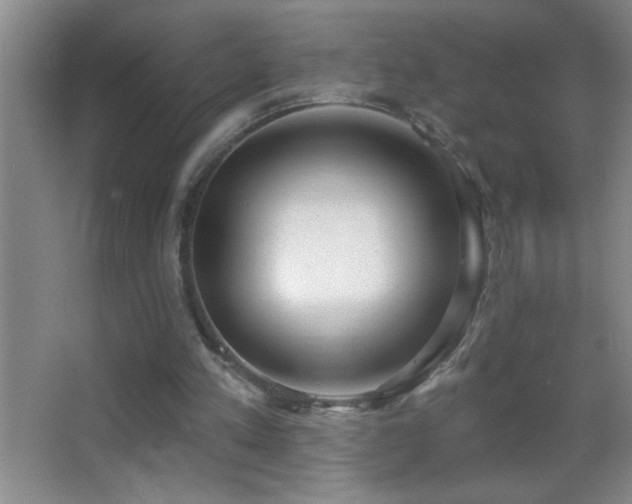 X0000062910197200601131435