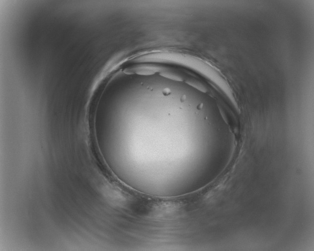 X0000062910198200601131435