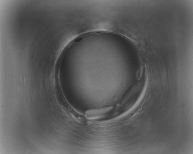 X0000062910200200601131435