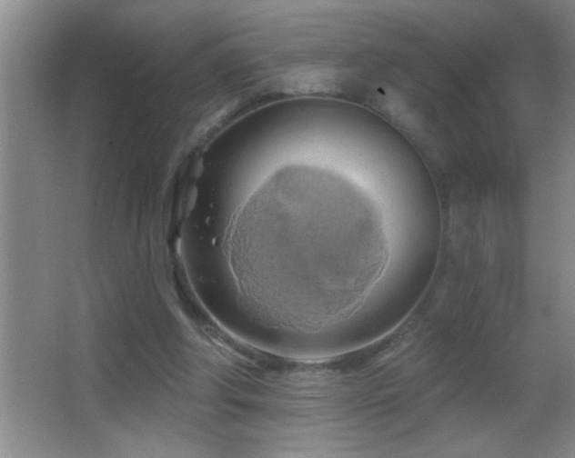 X0000062910202200601131435