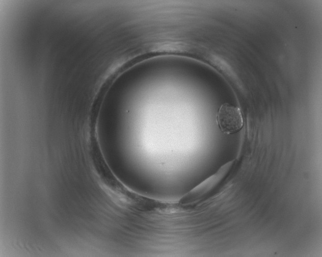 X0000062910204200601131435