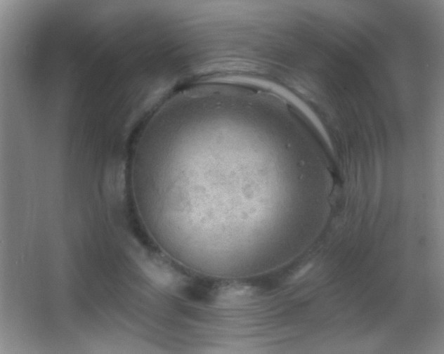 X0000062910206200601131435