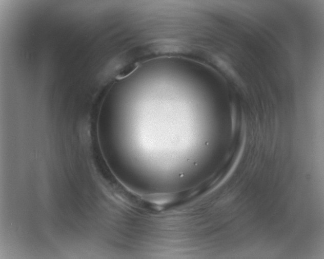 X0000062910207200601131435