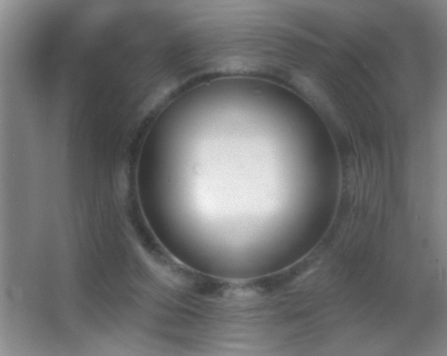 X0000062910208200601131435