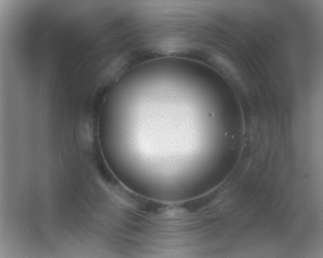 X0000062910210200601131435