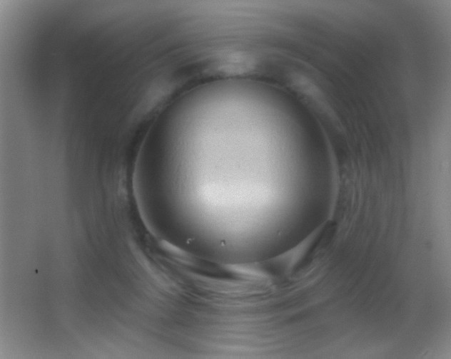 X0000062910212200601131435