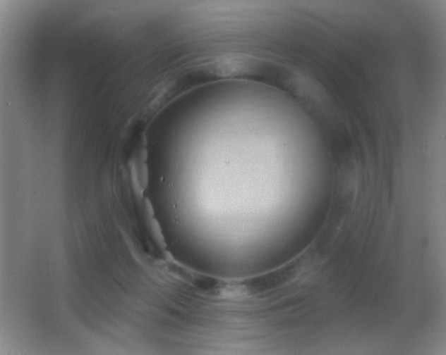 X0000062910214200601131434