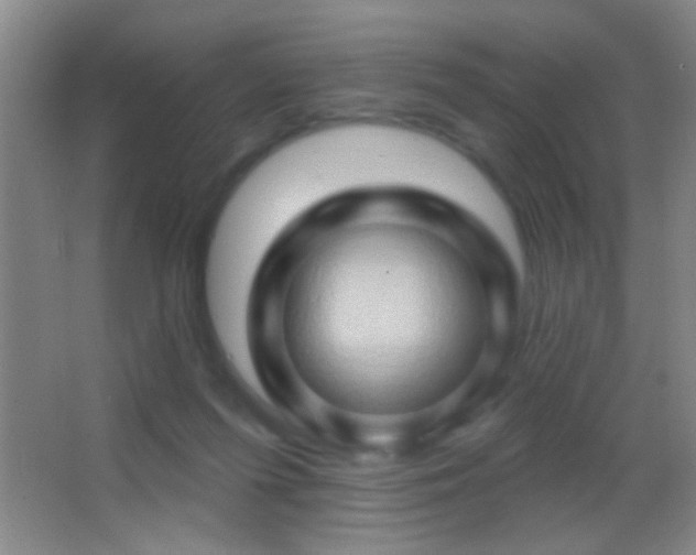 X0000062910215200601131434