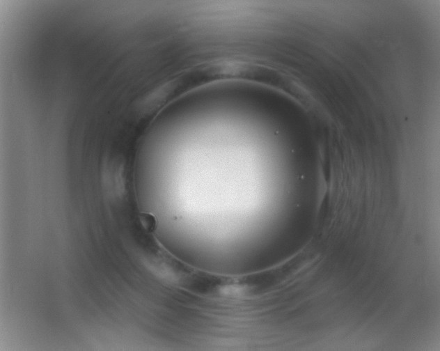 X0000062910216200601131434