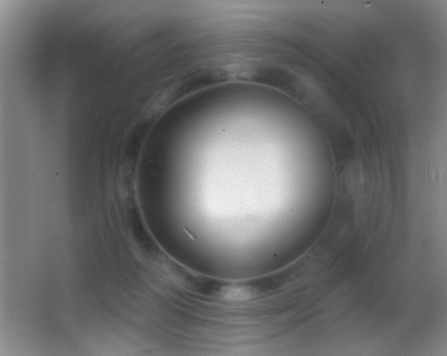 X0000062910218200601131434