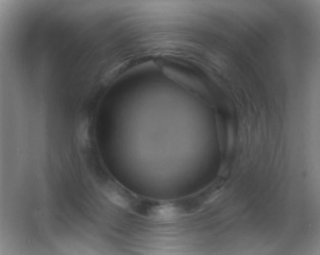 X0000062910219200601131434