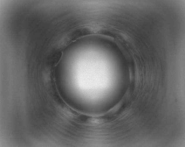 X0000062910221200601131434