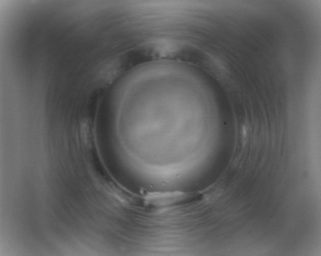 X0000062910222200601131434