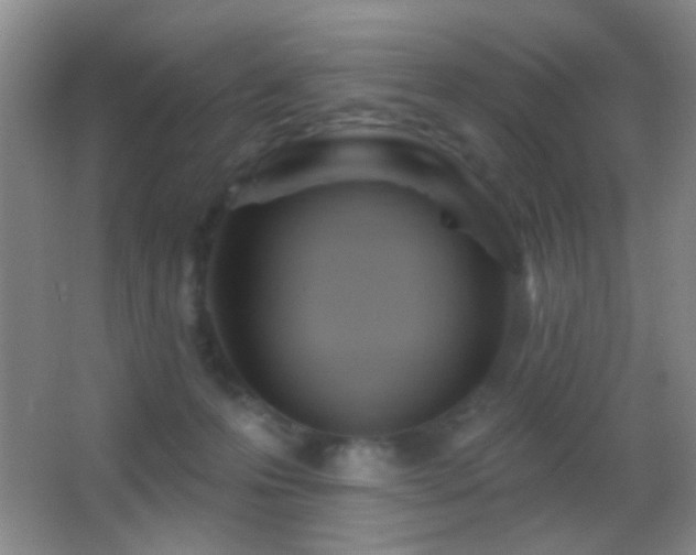 X0000062910223200601131434