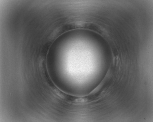 X0000062910225200601131434