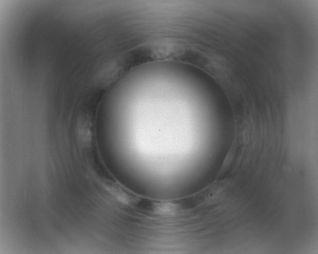 X0000062910226200601131434