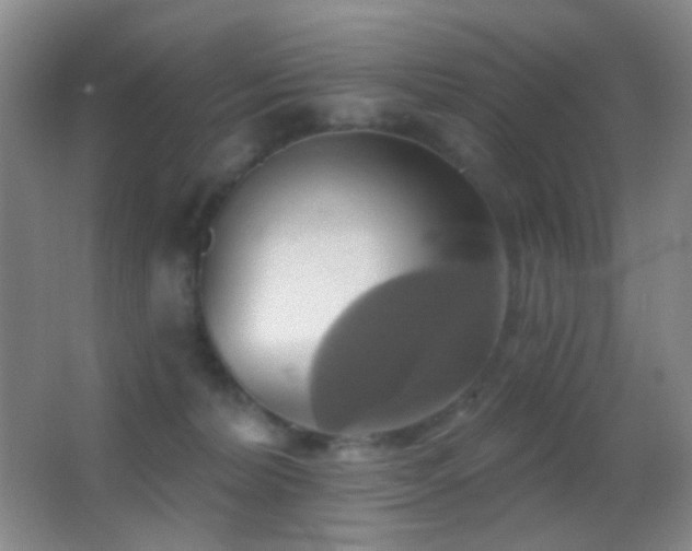 X0000062910228200601131434