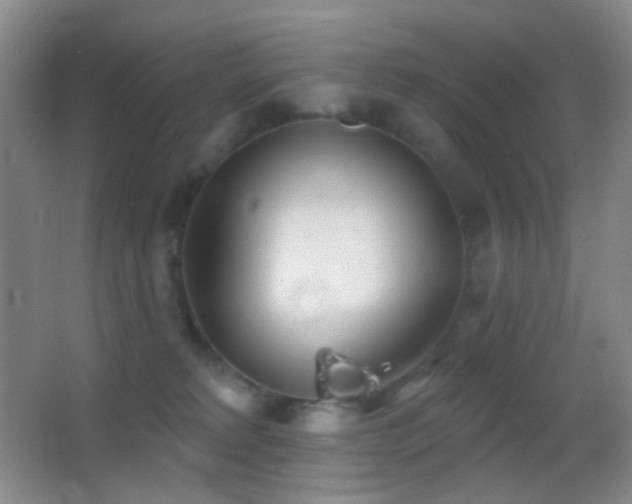 X0000062910229200601131434