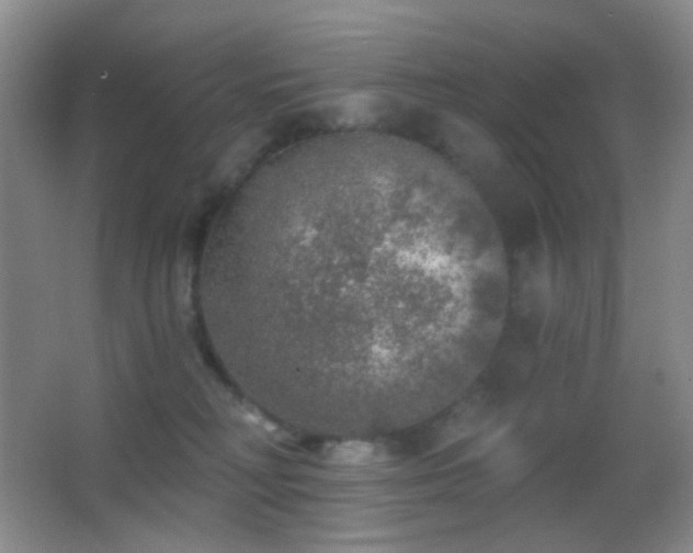 X0000062910230200601131434