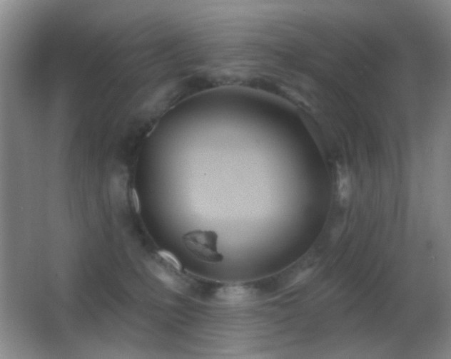 X0000062910231200601131434