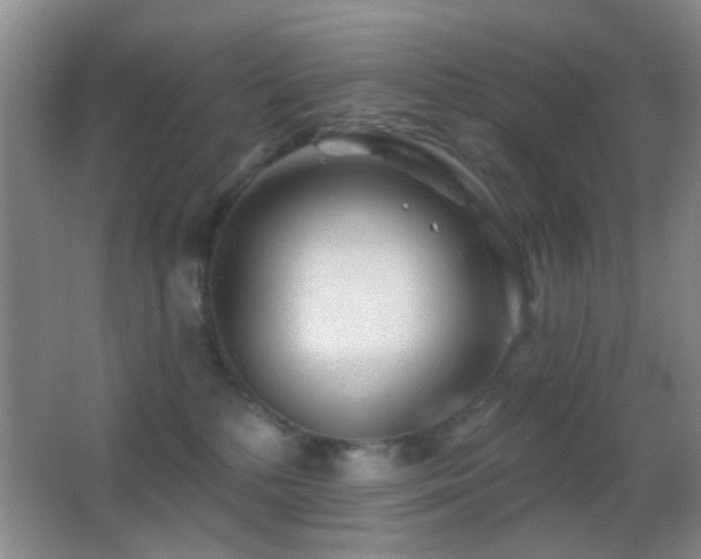 X0000062910232200601131434