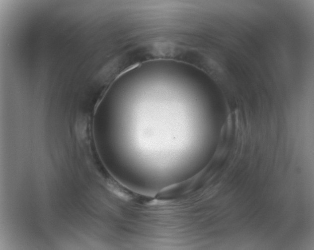 X0000062910233200601131434