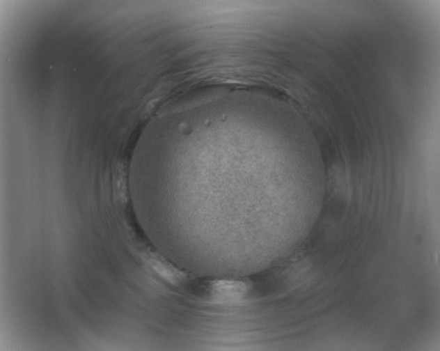 X0000062910234200601131434