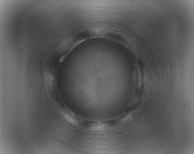 X0000062910235200601131434