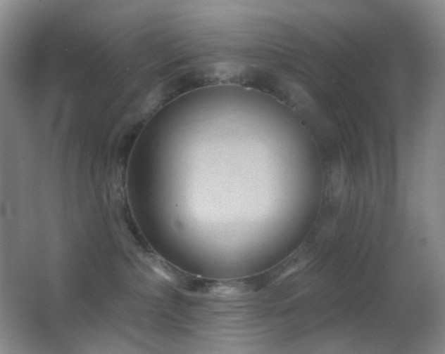 X0000062910236200601131434