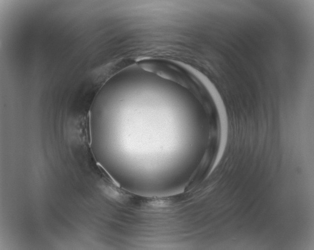 X0000062910237200601131434